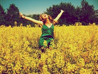 Hippie Amor Libertad Wallpaper Descargable