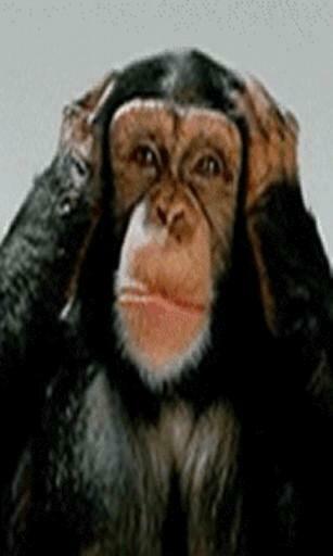Bigger Monkey Live Wallpaper For Android Screenshot