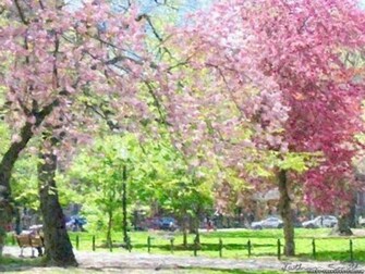 Spring Time Wallpaper Jpg