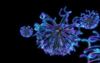 Bacteria Wallpaper
