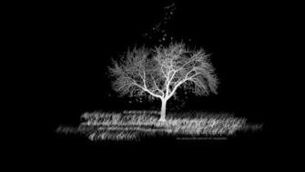 White Tree Of Gondor Wallpaper Another By Sweet