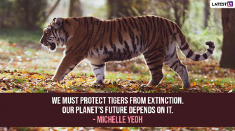 International Tiger Day Quotes Wallpaper Messages