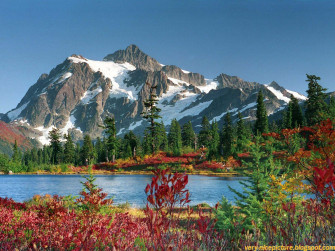 Beautiful Nature Wallpaper