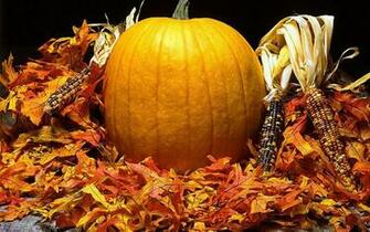 Pumpkins Everywhere Halloween Wallpaper