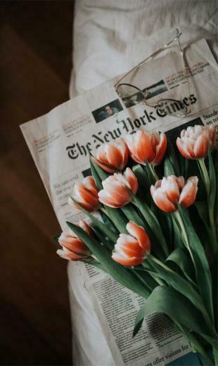 The New York Times Tulips Idea Wallpaper iPhone