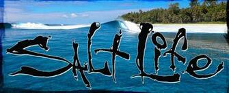 Salt Life Shirts Hats Decals Bealls Florida
