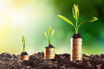Secrets Of Revenue Generating Cios