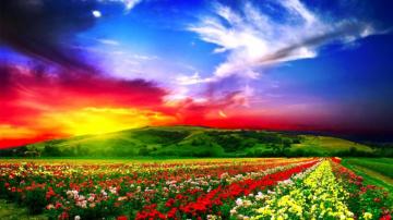 High Resolution Beautiful Mac Wallpaper Anaxagoras