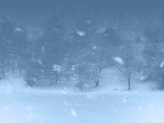 Winter Blizzard Wallpaper Snow Forest