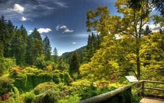 Park From Bungalow Wallpaper