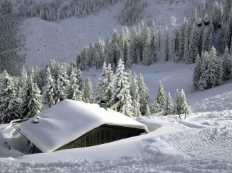 Cool Winter Season Wallpaper