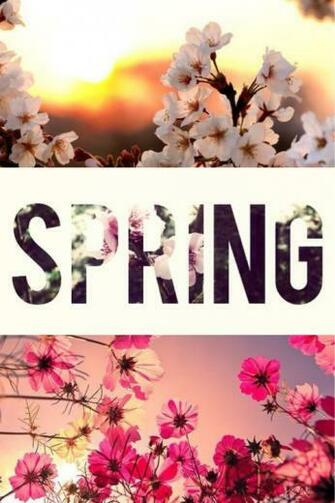 Spring Pictures Photos And Image For