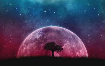 Wallpaper Fantasy Tree Planet Stars Sky Image For Desktop