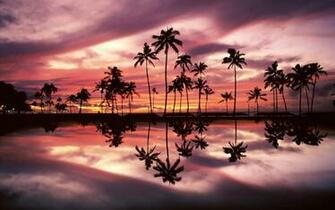 Sunset Over The Ala Moana Beach Park Honolulu Oahu Hawaii