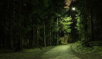Forest Park Wallpaper
