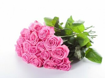 Pink Roses Desktop Background Wallpaper High Definition