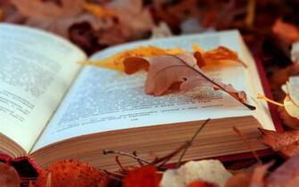 File Name Best HD Book Wallpaper Feelgrph