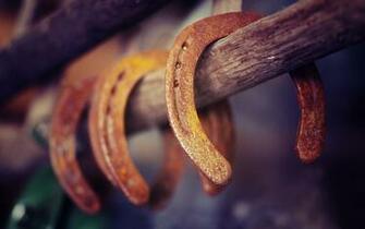 Macro Horseshoes Stick Western Cowboy Horses Metal
