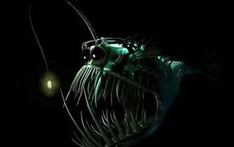 Anglerfish Fish Ocean Sea Underwater Dark Creepy Monster Fangs