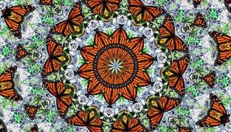 Butterfly Circle Abstract Background Textures Patterns Geometric