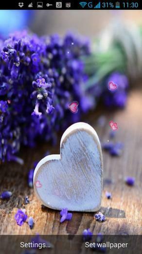 Love Flowers Live Wallpaper Android Apps And Tests Androidpit
