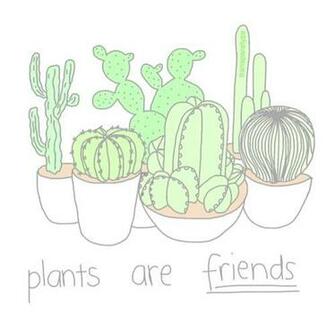 Cacti On