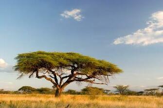 HD Landscape Wallpaper WallpaperHD