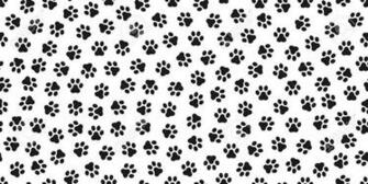 Dog Paws Wallpaper Image In Collection