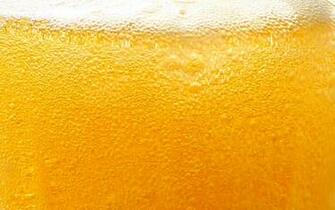 Wallpaper Beer Texture Glass Of Liquid Textures