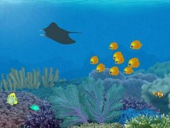 3d Aquarium Wallpaper Enjoy For Your