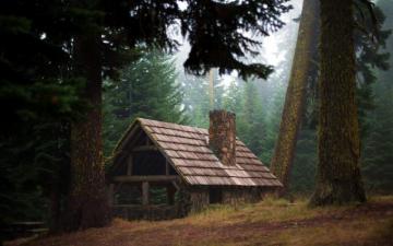 Cabin Woods HD Wallpaper Background