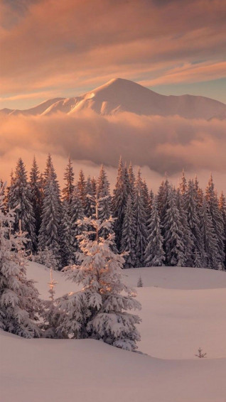 Snow Aesthetic Wallpaper