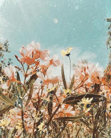 Os Wallpaper On Phone Spring Aesthetic