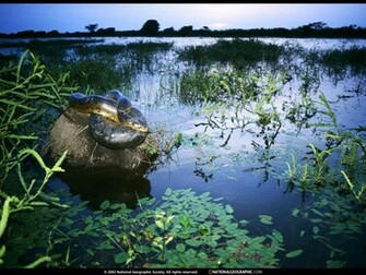 Geographic HD Wallpaper Most Famous National