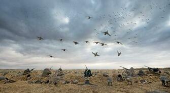Duck Hunting Wallpaper Coolstyle