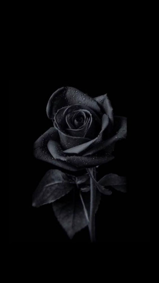 Black Wallpaper Top Best Hq
