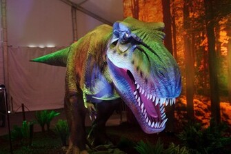 Dinosaurs T Rex Wallpaper Dinosaur