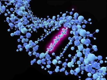 Types And Examples Of Dna Mutations