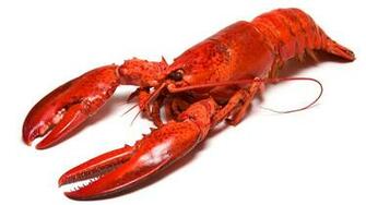 The History Cook Lobster S Humble Beginnings Financial Times