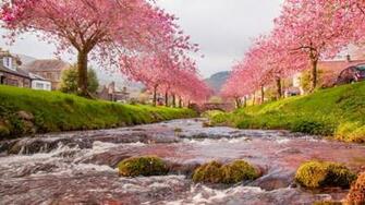 Rivers Sky Flowers Trees River House Time Bridge Spring Wallpaper