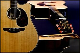 Martin D Om 28pb Taylor 414ce Liberty Tree Guitar