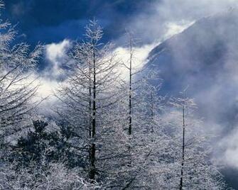 HD Wallpaper High Definition Quality Desktop