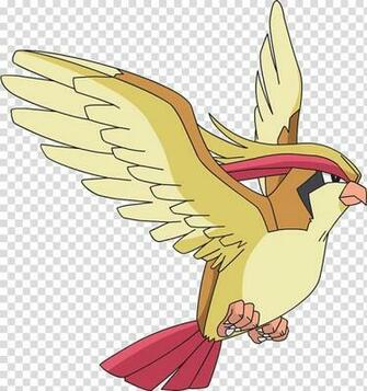 Pok Mon Go Pidgeotto Types Pidgey Transparent Background