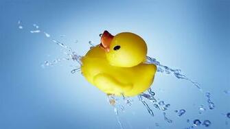 Rubber Duck Live Wallpaper For Android Apk