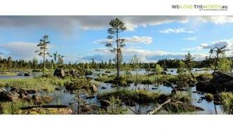 We Love The North Trekking In Nordeuropa Schweden Und Island