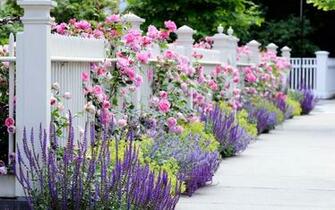 Flower Garden Wallpaper Best