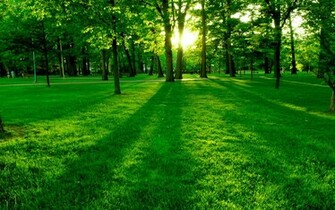 Spring Screensavers And Wallpaper
