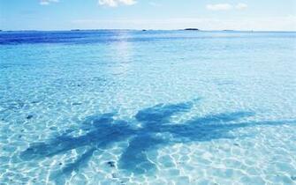 Maldives Widescreen Wallpaper Travel Tourism
