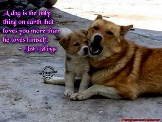 Funny Animals Pictures With Sayings Wallpaper HD