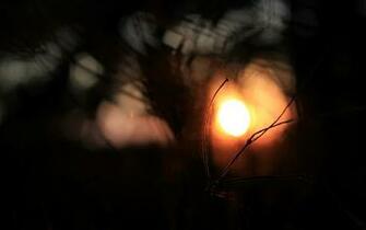 Beautiful Dark Background Px
